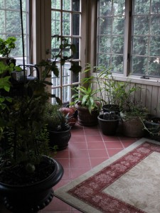 Indoor Garden